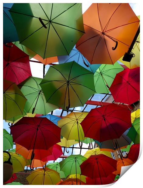 Umbrellas Print by camera man