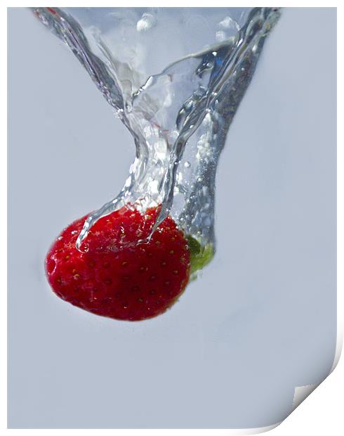 Strawberry Drop. Print by paul cowles
