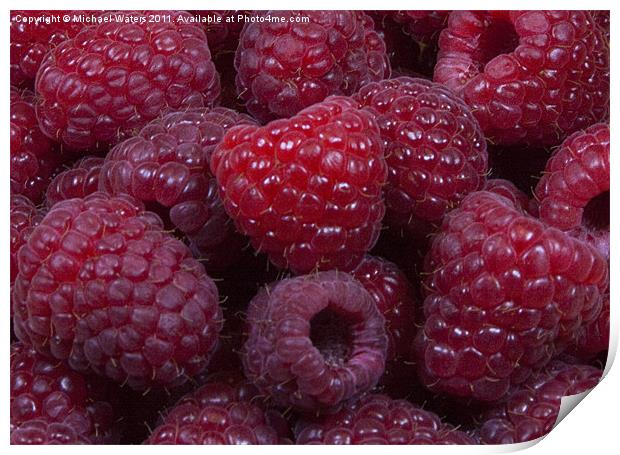 Red Raspberries Print by Michael Waters Photography