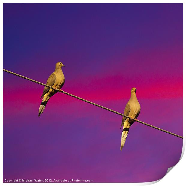 Birds on a Wire Print by Michael Waters Photography