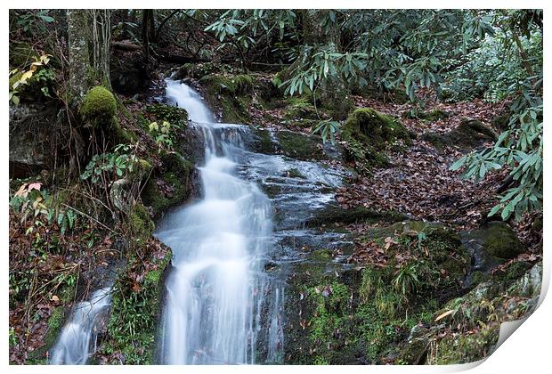 Smokey Mountain Waterfall Print by Michael Waters Photography