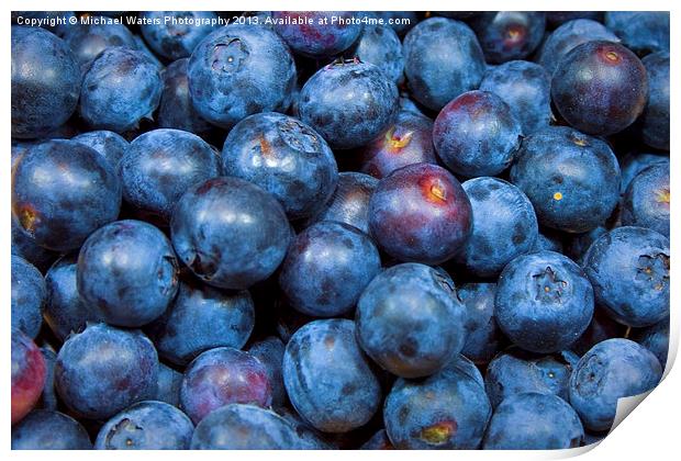 Sweet Blueberries Print by Michael Waters Photography
