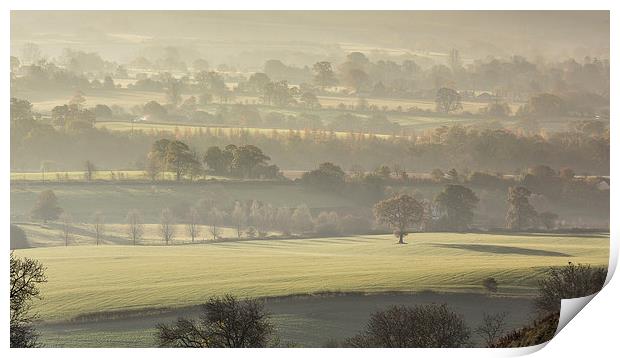  Alone in a field  Print by Philip Male