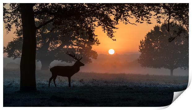 To start another day Print by Philip Male