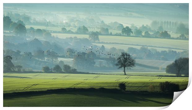 Early Start Print by Philip Male