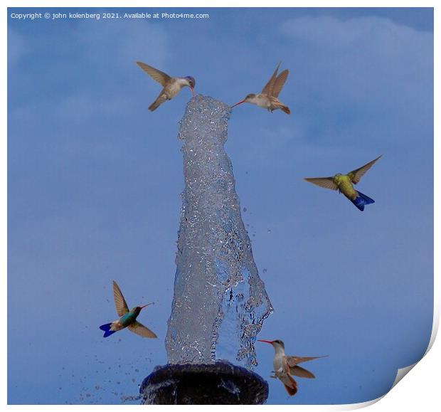 hummingbird fountain Print by john kolenberg