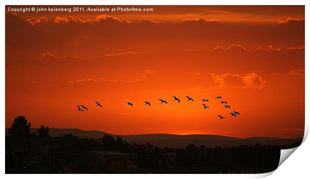 birds flying in  crimson sunset Print by john kolenberg