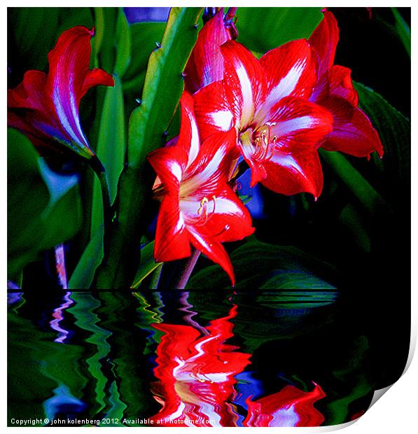 red lillies over water's edge at night Print by john kolenberg