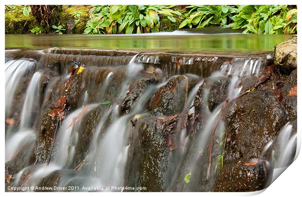 Tranquil pool Print by Andrew Driver