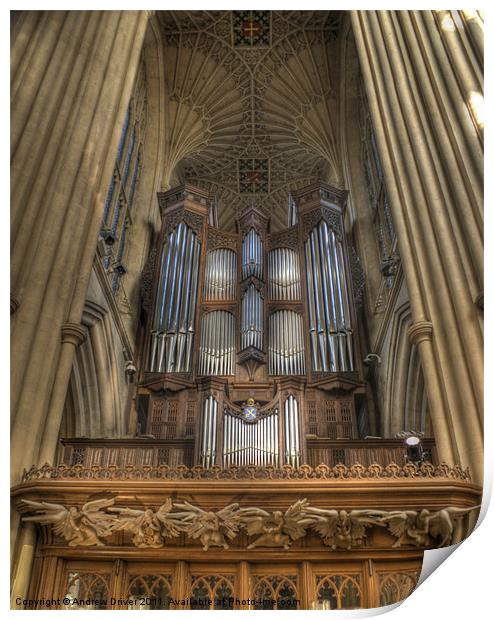 Angels and Organ Print by Andrew Driver