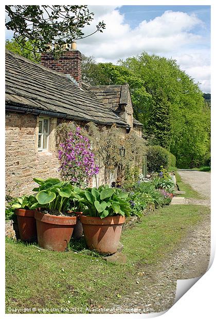 Nice Country Cottage Print by malcolm fish
