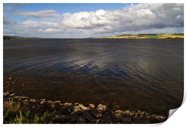 The Cromarty Firth Print by Steven Watson