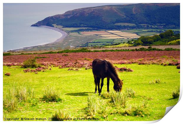 Exmoor and the Vale of Porlock Print by Steven Watson