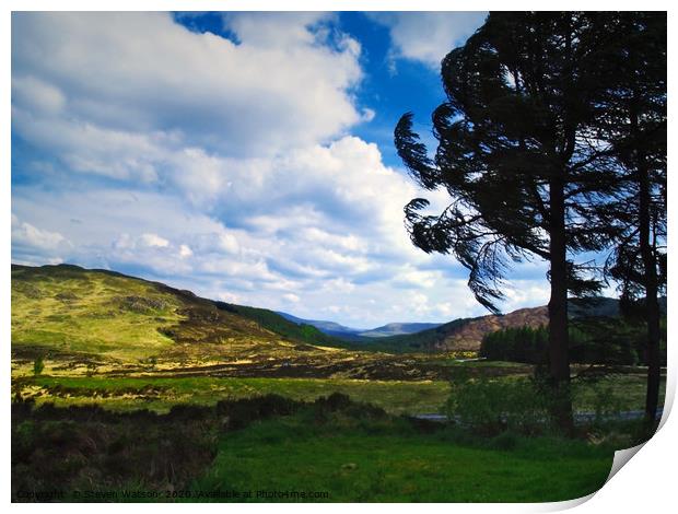 Windy Day Print by Steven Watson