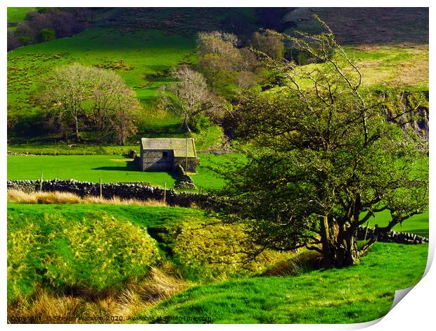 A Coverdale Barn Print by Steven Watson