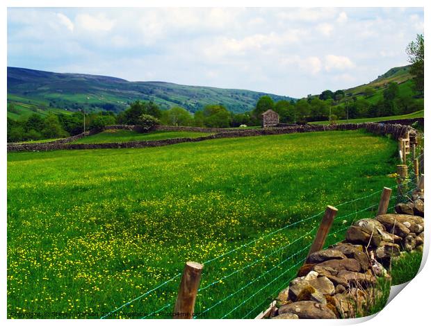 Swaledale Meadows Print by Steven Watson