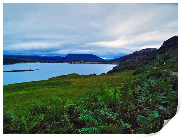 Loch Ewe and Altbea  Print by Steven Watson