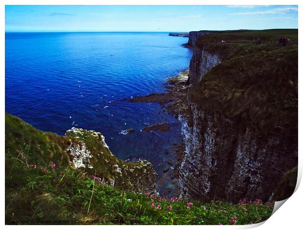 Chalk Cliffs at Bempton Print by Steven Watson