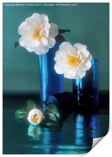 CAMELLIAS Print by Helen Cullens