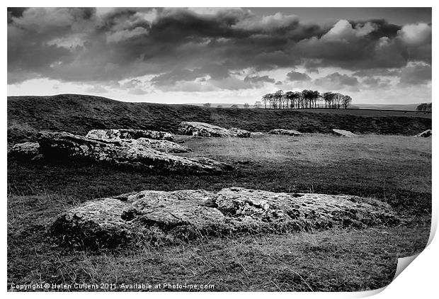 ARBOR LOW STONE CIRCLE Print by Helen Cullens