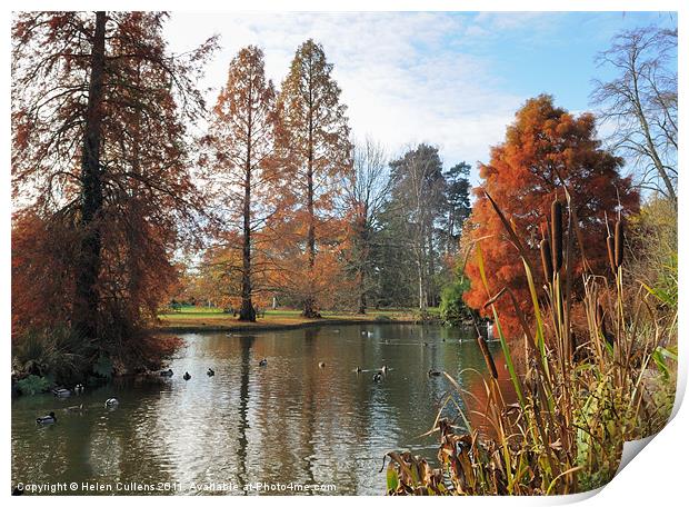 AUTUMN AT WISLEY Print by Helen Cullens