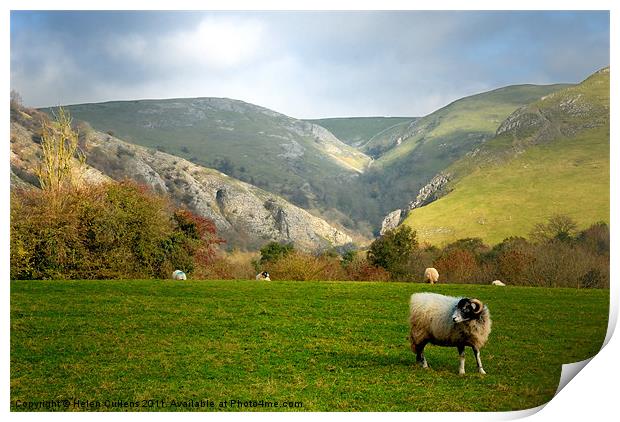 DOVEDALE Print by Helen Cullens