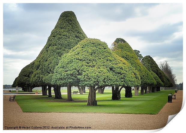 TRIANGULAR TREES Print by Helen Cullens
