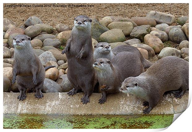 ROW OF OTTERS Print by Helen Cullens