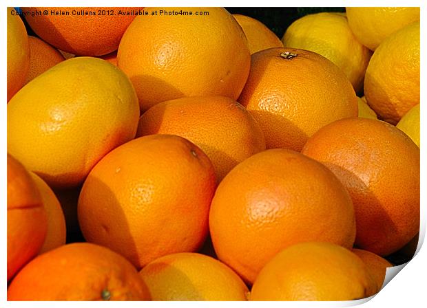 ORANGES Print by Helen Cullens