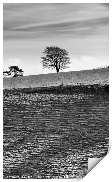 Tree on the Skyline                                Print by Helen Cullens