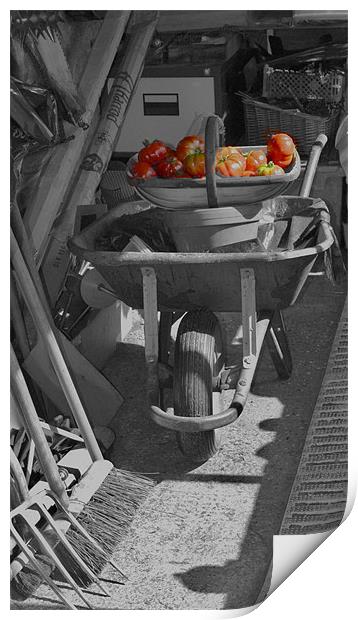 Gardeners Retreat Print by Mark Pugh