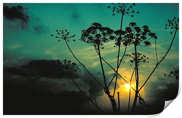 Sunset Print by Derek Vines