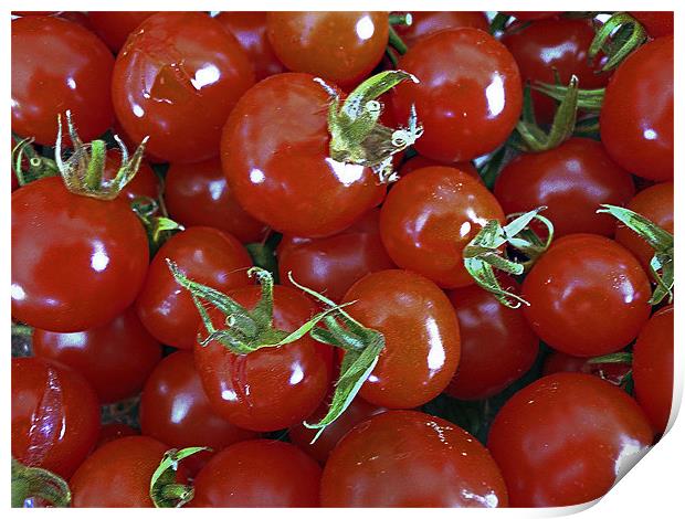 Salad Tomatoes Print by Derek Vines