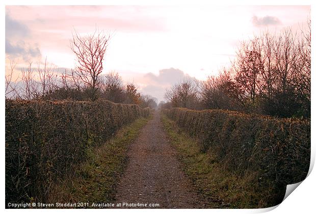 Bowes Path Home Print by Steven Stoddart