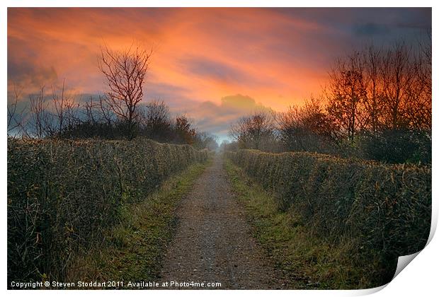 Bowes Path Home 2 Print by Steven Stoddart
