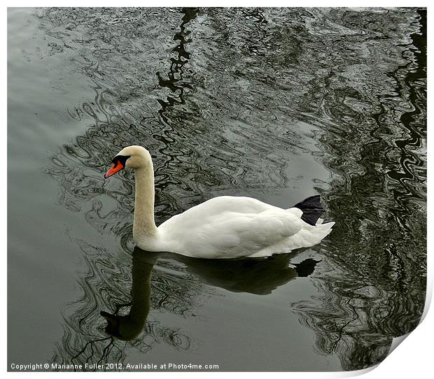 Swan on Marbled Water Print by Marianne Fuller