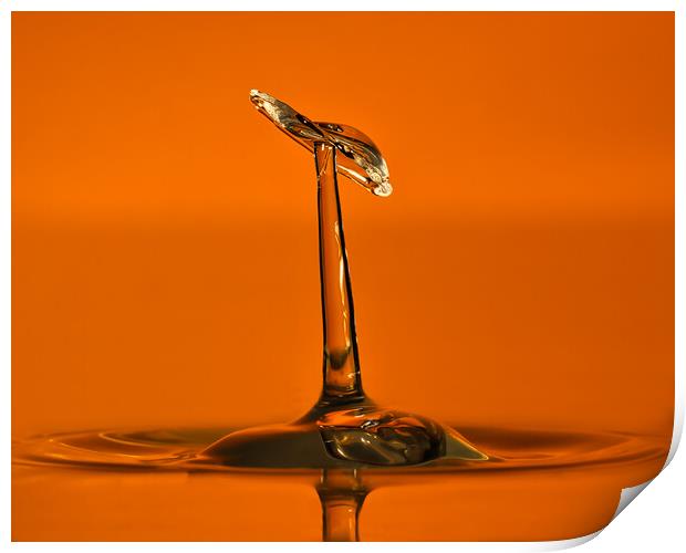 Water droplet  Print by David Martin