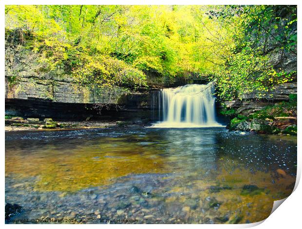 Bishopdale waterfall 2 Print by David Martin