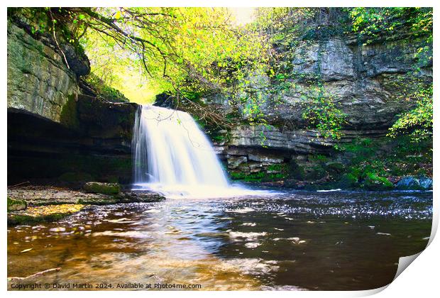 Bishopdale waterfall 9 Print by David Martin