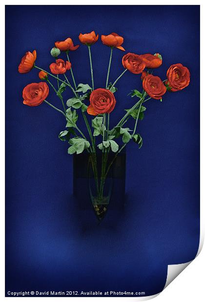 Red poppies Print by David Martin