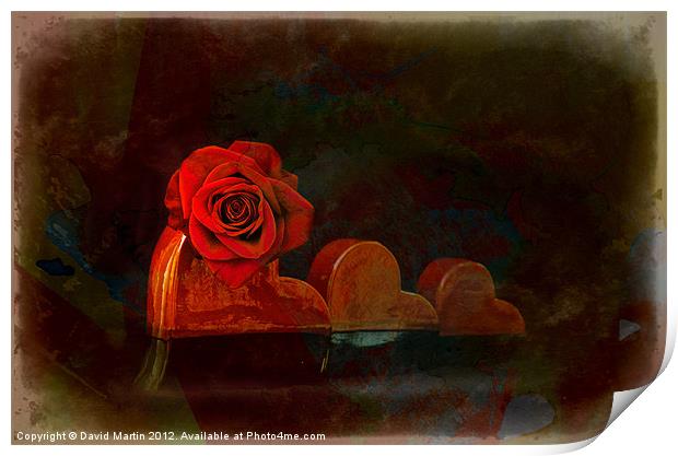 Red rose Print by David Martin