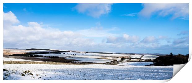 Princetown Print by David Martin