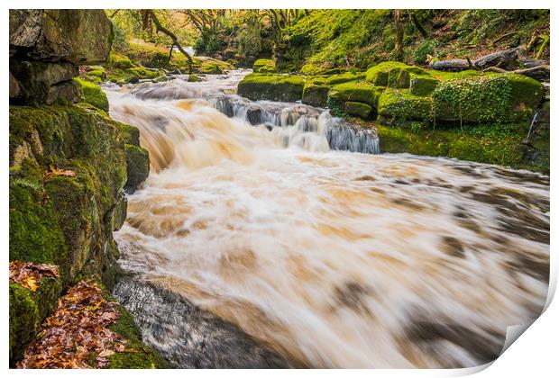 Shipley Bridge-2 Print by David Martin