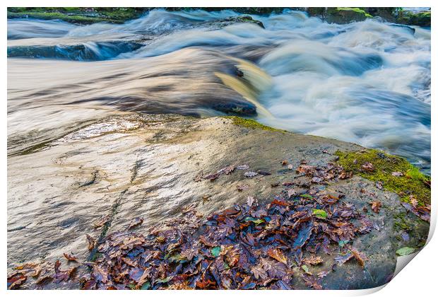 Shipley Bridge-6 Print by David Martin