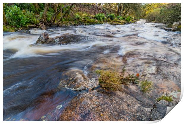 Shipley Bridge-9 Print by David Martin