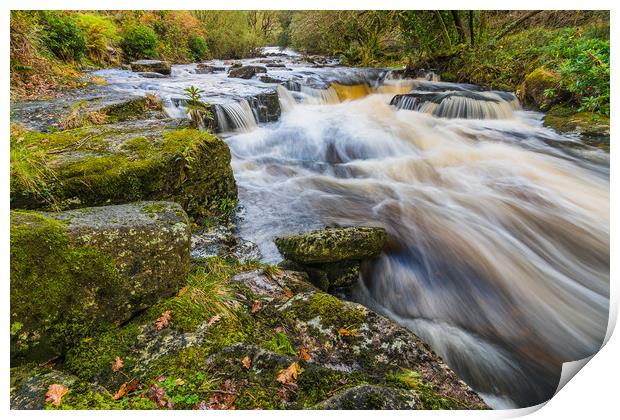 Shipley Bridge-12 Print by David Martin