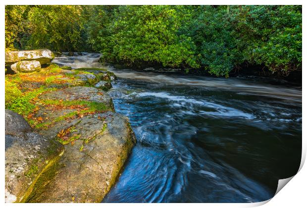 Shipley Bridge-15 Print by David Martin