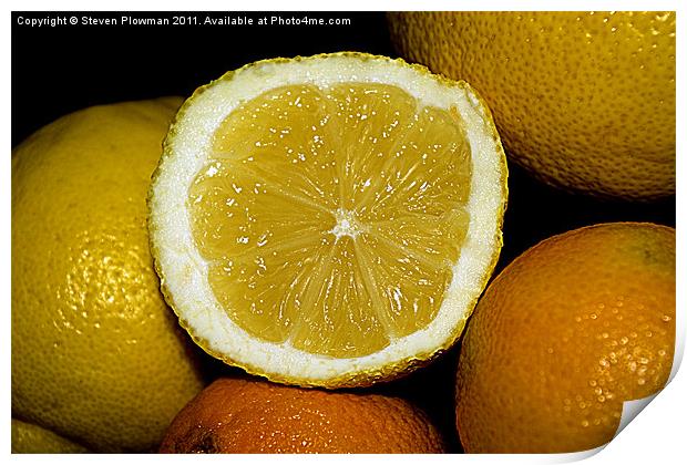 Citrus fruit Print by Steven Plowman