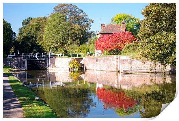  Autumn on the canal Print by Steven Plowman
