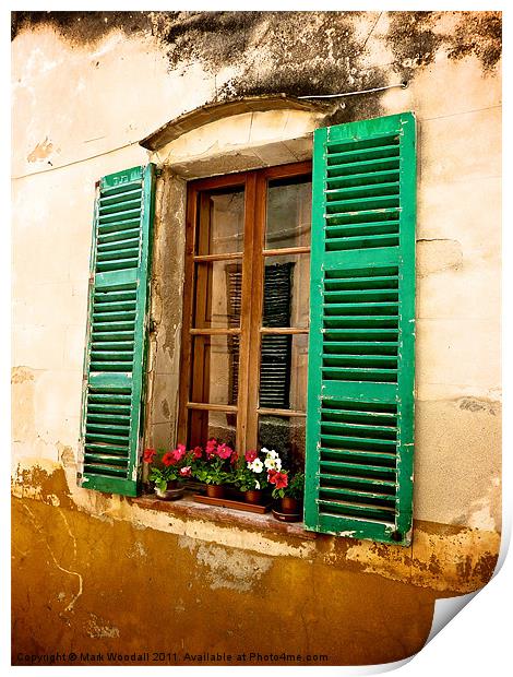 Classic Spanish Window with Flowers Print by Mark Woodall